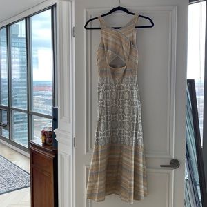 NWOT stunning and figure flattering Free People dress XS